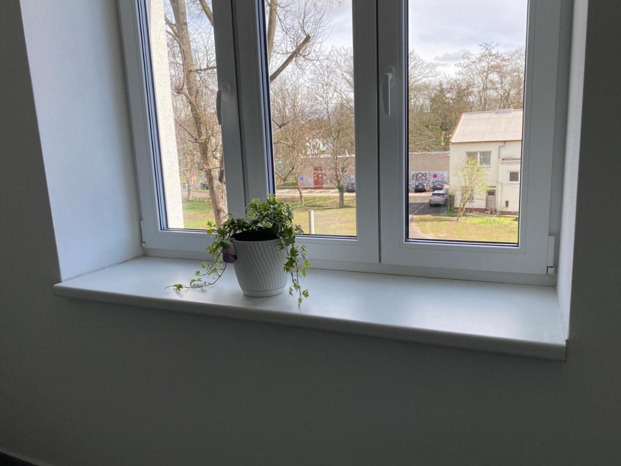 Apartament Perla Hradce Hradec Králové Zewnętrze zdjęcie